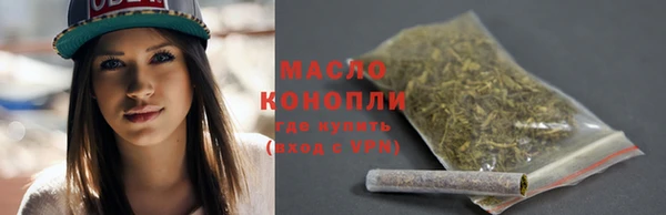 мяу мяу кристалл Няндома