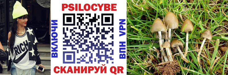 Псилоцибиновые грибы ЛСД  blacksprut tor  Старая Русса  купить наркотики цена 